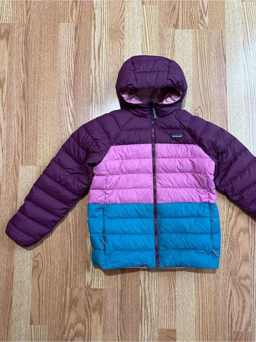 Patagonia Hooded Colorblock Puffer Jacket - Plum Pink Teal Blue